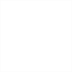 Forbes Council